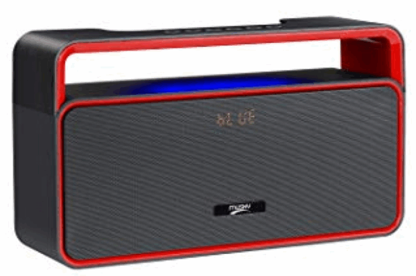 Musky DY25 Bluetooth Matkakaiutin